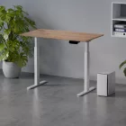 Profi elektromosan állítható magasságú íróasztal 120x67cm Craft tölgy | Dupla motor - Memória - USB - Nagy teherbírás | LVN System Control Pro