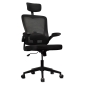 LVN System Ergo Lite